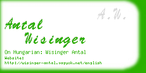 antal wisinger business card